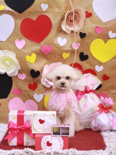 20230205むぎちゃん